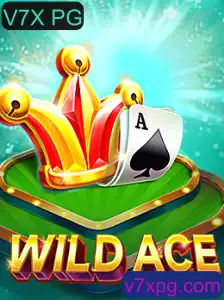 Tudo sobre o Jogo WildAce: Introdução, Descrição e Regras